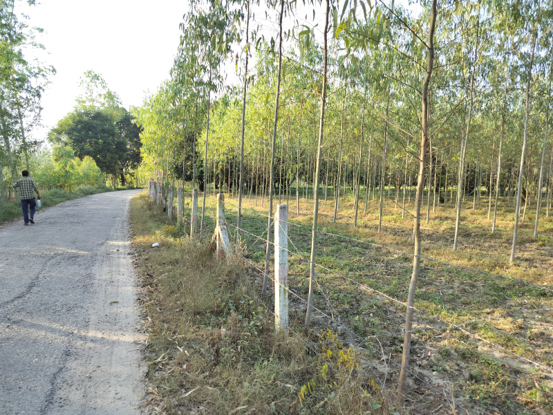  10 Bigha Agricultural/Farm Land for Sale in Biharigarh, Dehradun