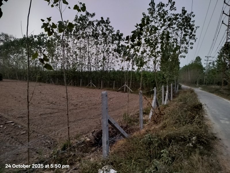  5 Bigha Agricultural/Farm Land for Sale in Janta Road, Saharanpur