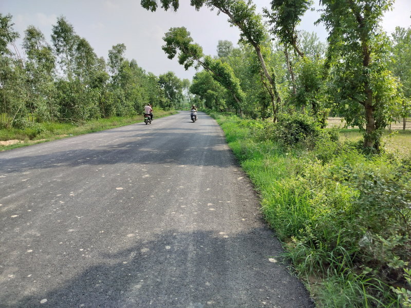  100 Bigha Agricultural/Farm Land for Sale in Biharigarh, Dehradun