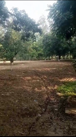  100 Bigha Agricultural/Farm Land for Sale in Biharigarh, Saharanpur