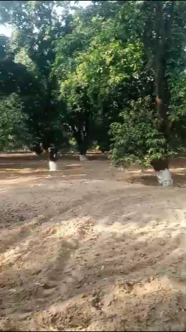  100 Bigha Agricultural/Farm Land for Sale in Biharigarh, Saharanpur