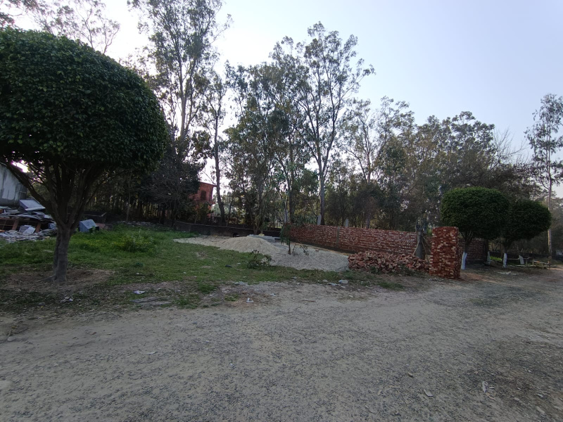  250 Sq. Yards Residential Plot for Sale in Biharigarh, Saharanpur