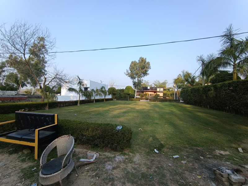  250 Sq. Yards Residential Plot for Sale in Biharigarh, Saharanpur