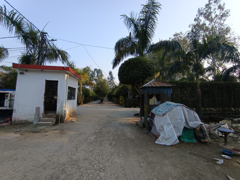  250 Sq. Yards Residential Plot for Sale in Biharigarh, Saharanpur