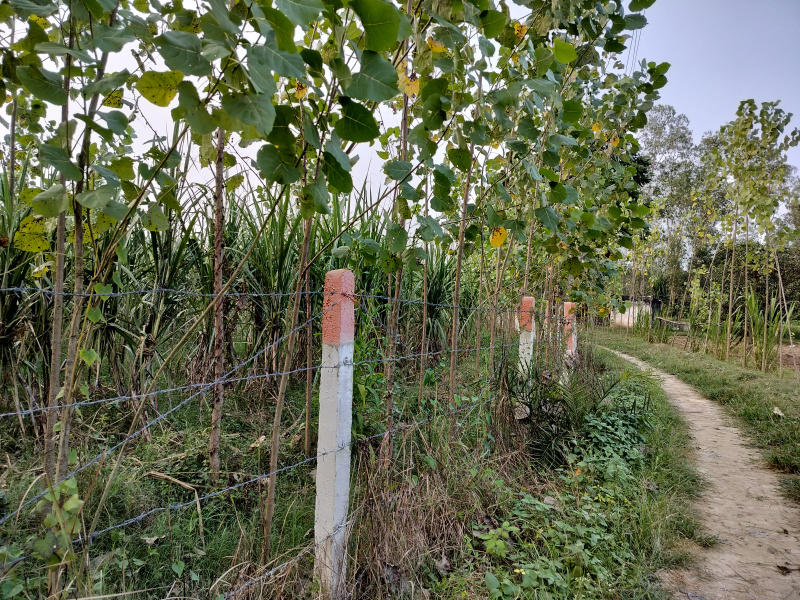  20 Bigha Agricultural/Farm Land for Sale in Biharigarh, Dehradun