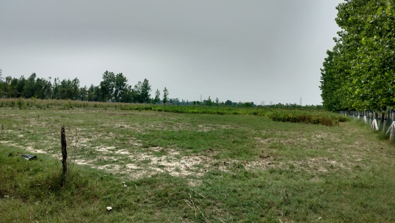  25 Bigha Agricultural/Farm Land for Sale in Biharigarh, Dehradun