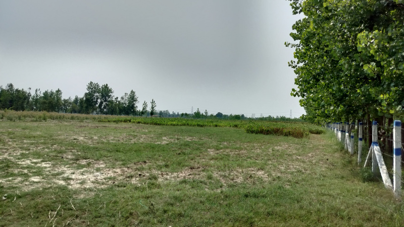  25 Bigha Agricultural/Farm Land for Sale in Biharigarh, Dehradun