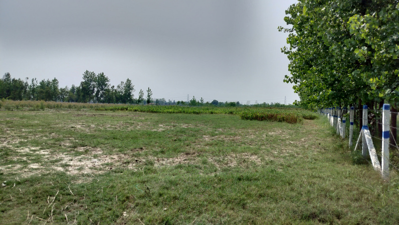  25 Bigha Agricultural/Farm Land for Sale in Biharigarh, Dehradun