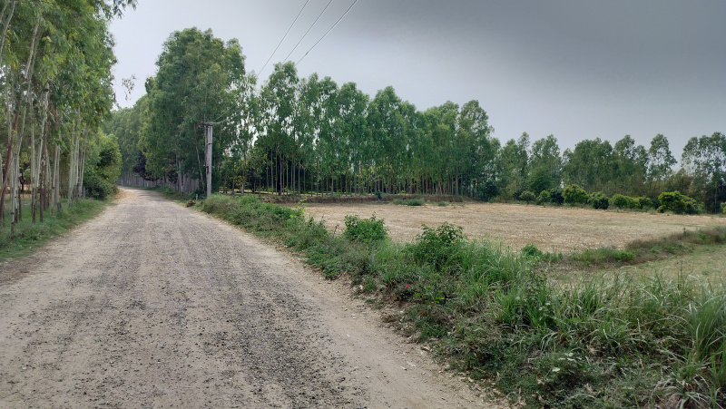  18 Bigha Agricultural/Farm Land for Sale in Biharigarh, Dehradun