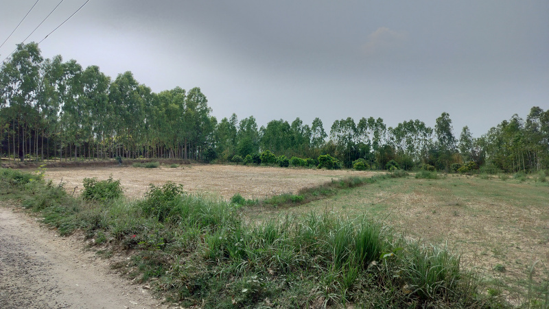  18 Bigha Agricultural/Farm Land for Sale in Biharigarh, Dehradun