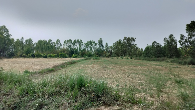 18 Bigha Agricultural/Farm Land for Sale in Biharigarh, Dehradun
