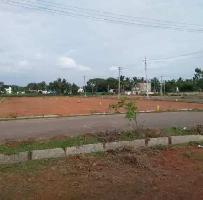  Residential Plot for Sale in Anekal Road, Bangalore