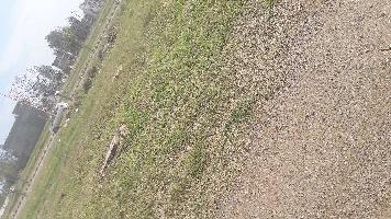  Residential Plot for Sale in Aerocity, Mohali