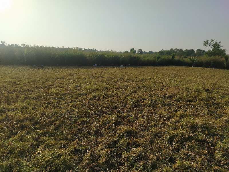 Agricultural Land 40000 Sq.ft. for Sale in