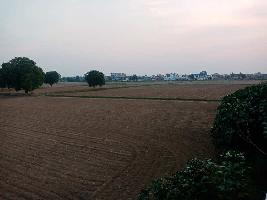  Agricultural Land for Sale in Shastri Puram, Agra