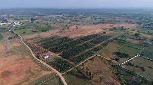  Agricultural Land for Sale in Shabad, Rangareddy