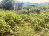  Residential Plot for Sale in Gms Road, Dehradun