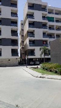 3 BHK Flat for Rent in Rau, Indore