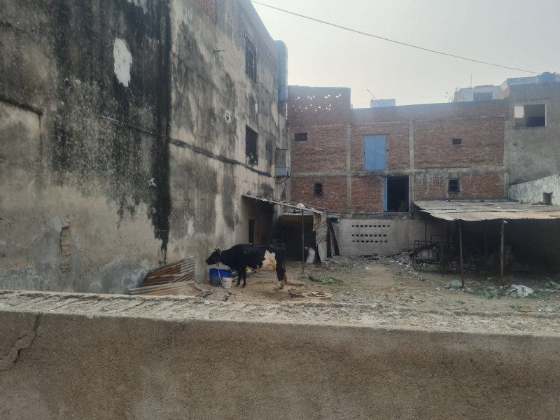  311 Sq.ft. Residential Plot for Sale in Govind Nagar, Kanpur