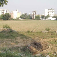  Residential Plot for Sale in Sainik Enclave, Najafgarh, Delhi