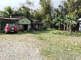  Residential Plot for Sale in Chowkham gaon, Dhemaji, Dhemaji