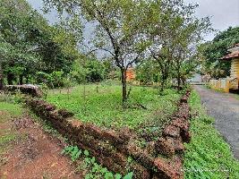 Agricultural Land for Sale in Revora, Goa