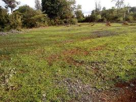  Agricultural Land for Rent in Georai, Beed