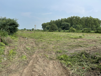  Agricultural Land for Sale in Ferozepur Road, Ludhiana