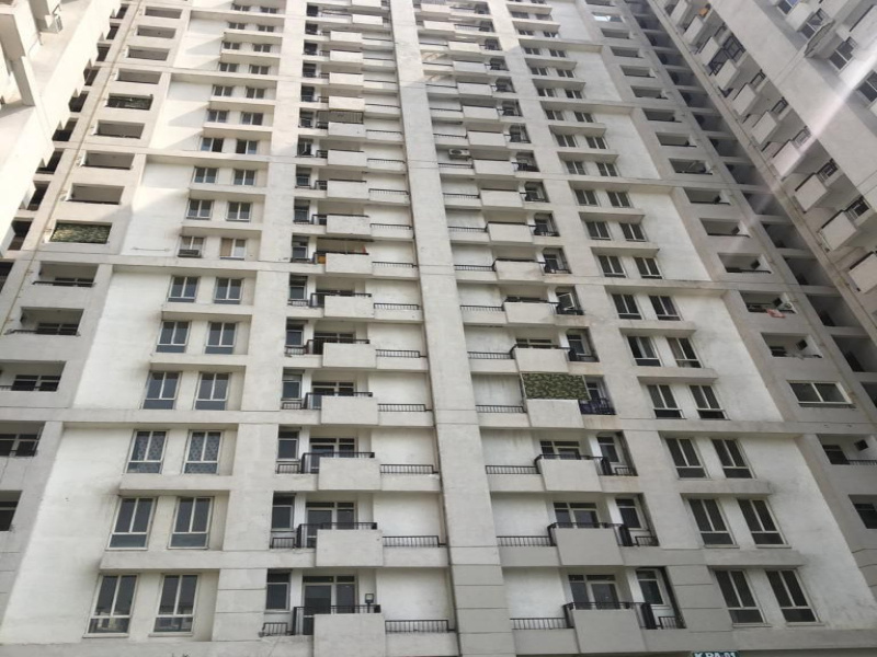 3 BHK Apartment 1500 Sq.ft. for Rent in Sector 133 Noida