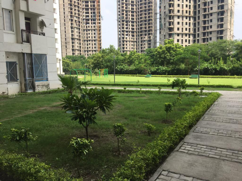 3 BHK Apartment 1500 Sq.ft. for Rent in Sector 133 Noida