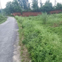  Residential Plot for Sale in Shuklaganj Bypass Road, Unnao