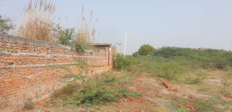 2 BHK Farm House 950 Sq. Yards for Sale in Achalganj, Unnao