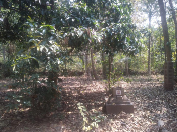  Commercial Land for Sale in Sawantwadi, Sindhudurg