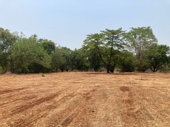  Commercial Land for Sale in Chiplun, Ratnagiri