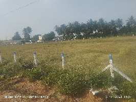  Agricultural Land for Sale in Lakshmi Nagar, Adambakkam, Chennai