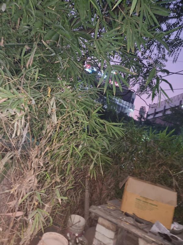  800 Sq.ft. Commercial Shop for Sale in MG Road, Gurgaon
