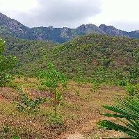  Agricultural Land for Sale in Tholampalayam, Coimbatore, Coimbatore
