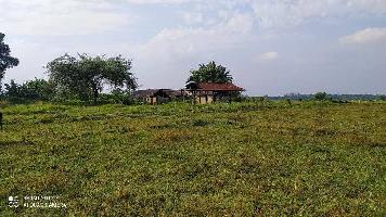  Agricultural Land for Sale in Kuhuboto, Dimapur