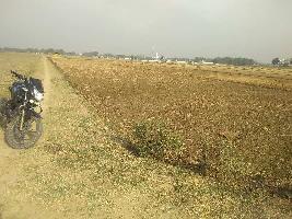  Agricultural Land for Sale in Rajatalab, Varanasi