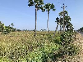 Agricultural Land for Sale in Gudivada, Krishna