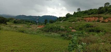  Agricultural Land for Rent in Kanakapura, Bangalore