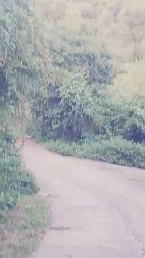  Agricultural Land 90 Sq. Yards for Sale in Morni Hills, Panchkula