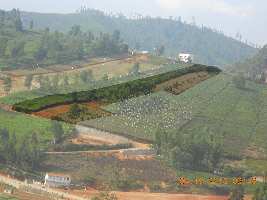  Commercial Land for Sale in Avalanche Road, Ooty