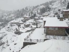 1 BHK Flat for Sale in Mukteshwar, Nainital