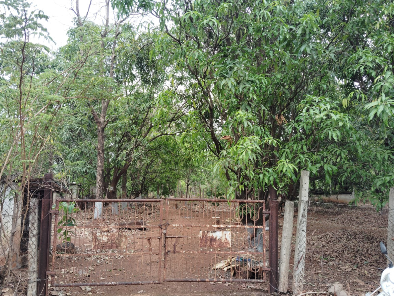 1 BHK 11 Acre Residential Plot for Sale in Saralgaon, Murbad, Thane