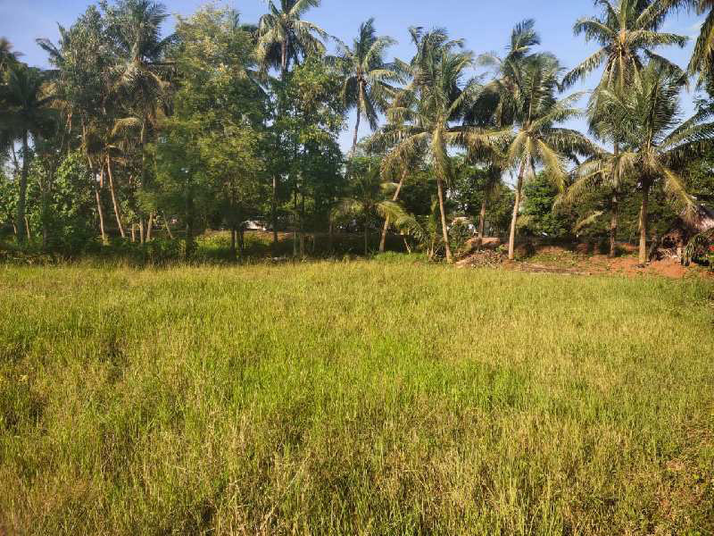 Residential Plot 46 Cent for Sale in