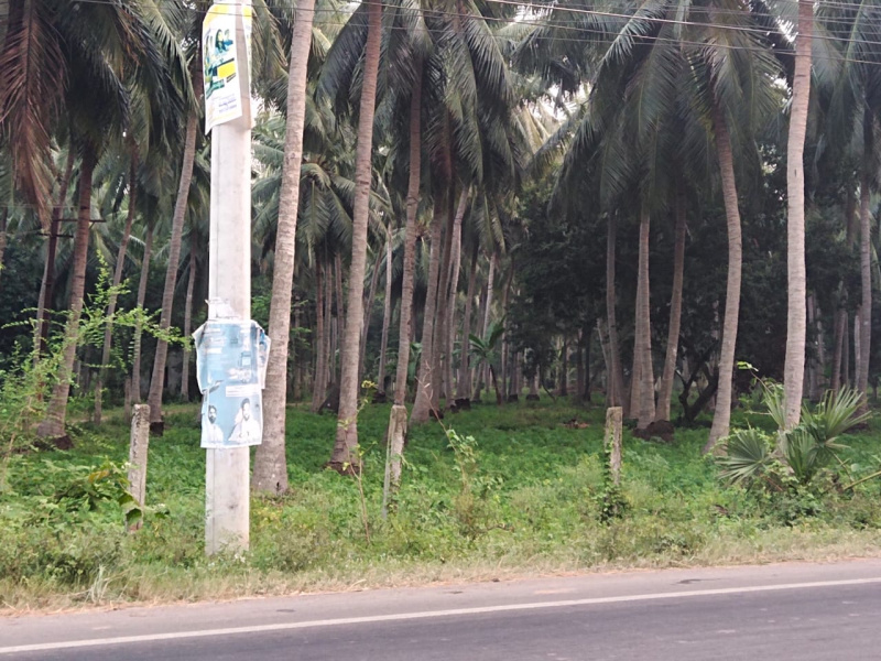  Agricultural Land 40 Cent for Sale in Mummidivaram, East Godavari