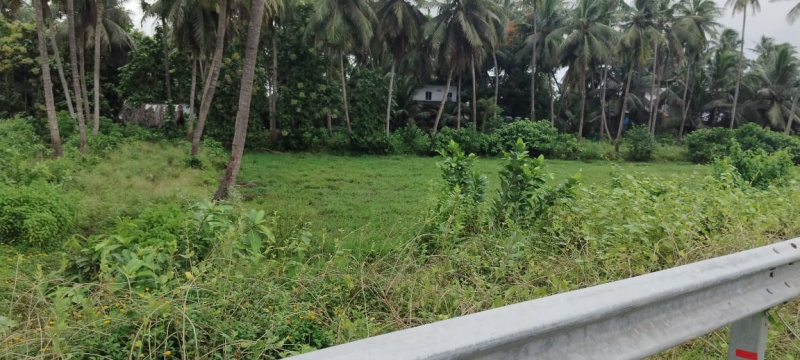  Residential Plot 80 Cent for Sale in Amalapuram, East Godavari