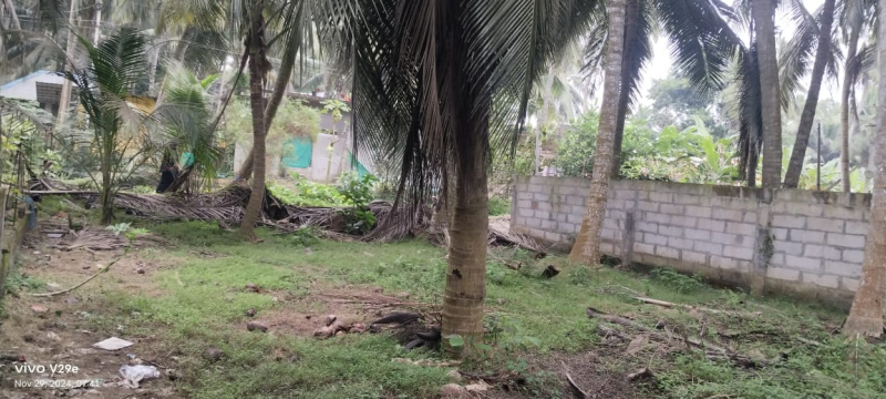  Residential Plot 5 Cent for Sale in Amalapuram, East Godavari