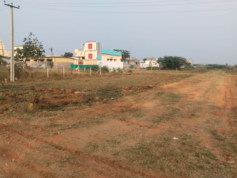  Residential Plot 8 Cent for Sale in Vemagiri Rajahmundry